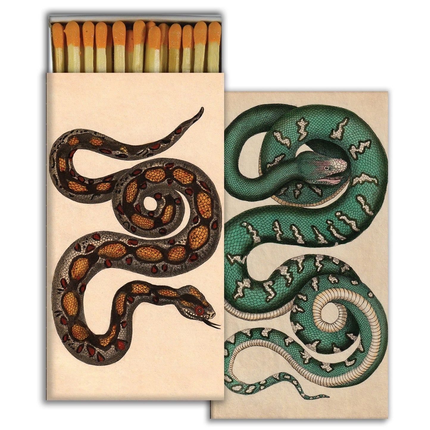 Rare Snakes Matches Homart