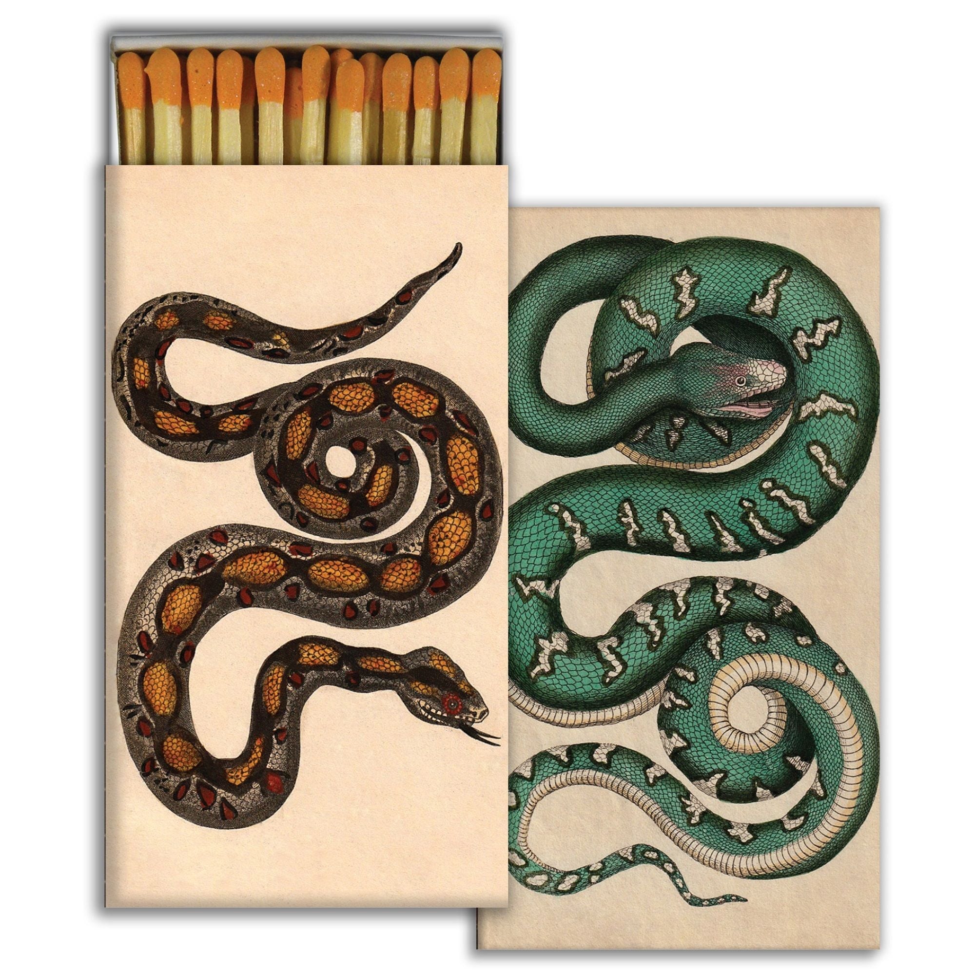 Rare Snakes Matches Homart
