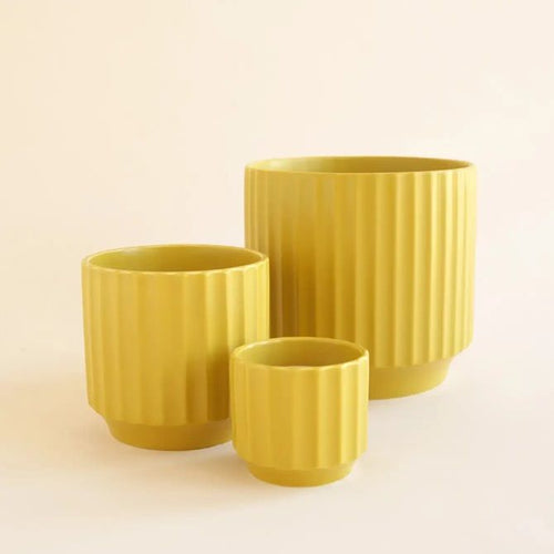 Load image 1 in gallery view. Monroe Planter 4.5" - Palm