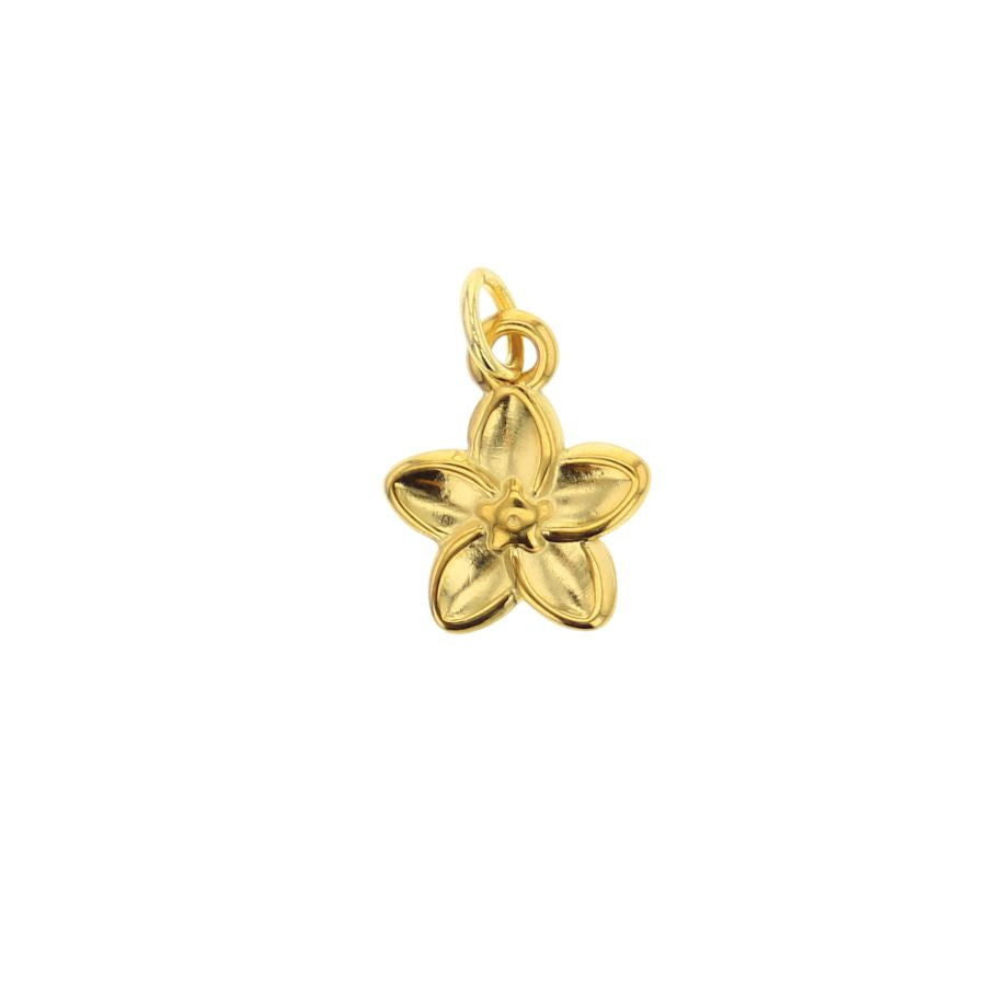 Plumeria Charm
