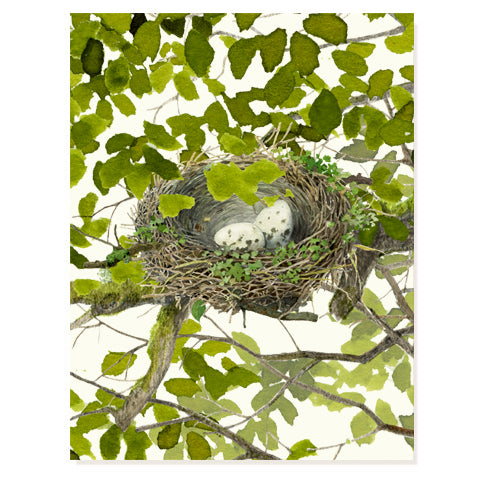 Good Nest - Just Because Card