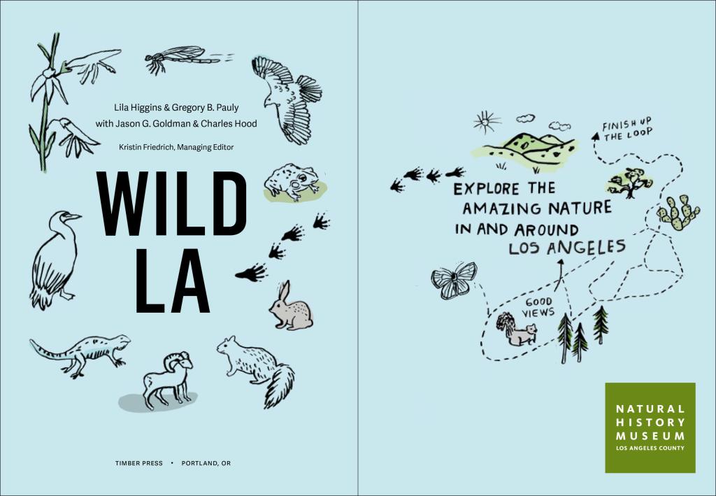 Wild LA