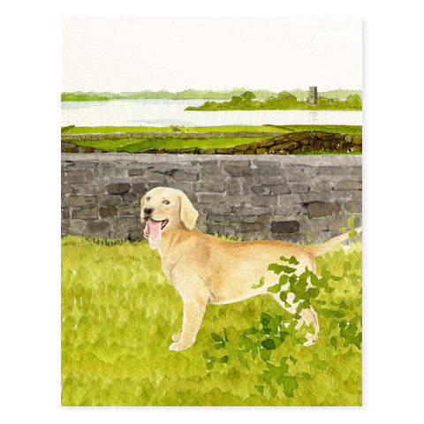 Load image 1 in gallery view. Golden Retriever Card