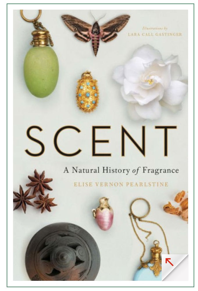 Scent: A Natural History of Fragrance