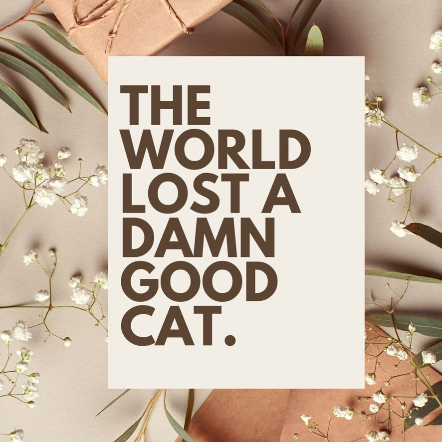 Lost a Damn Good Cat Pet Sympathy Card