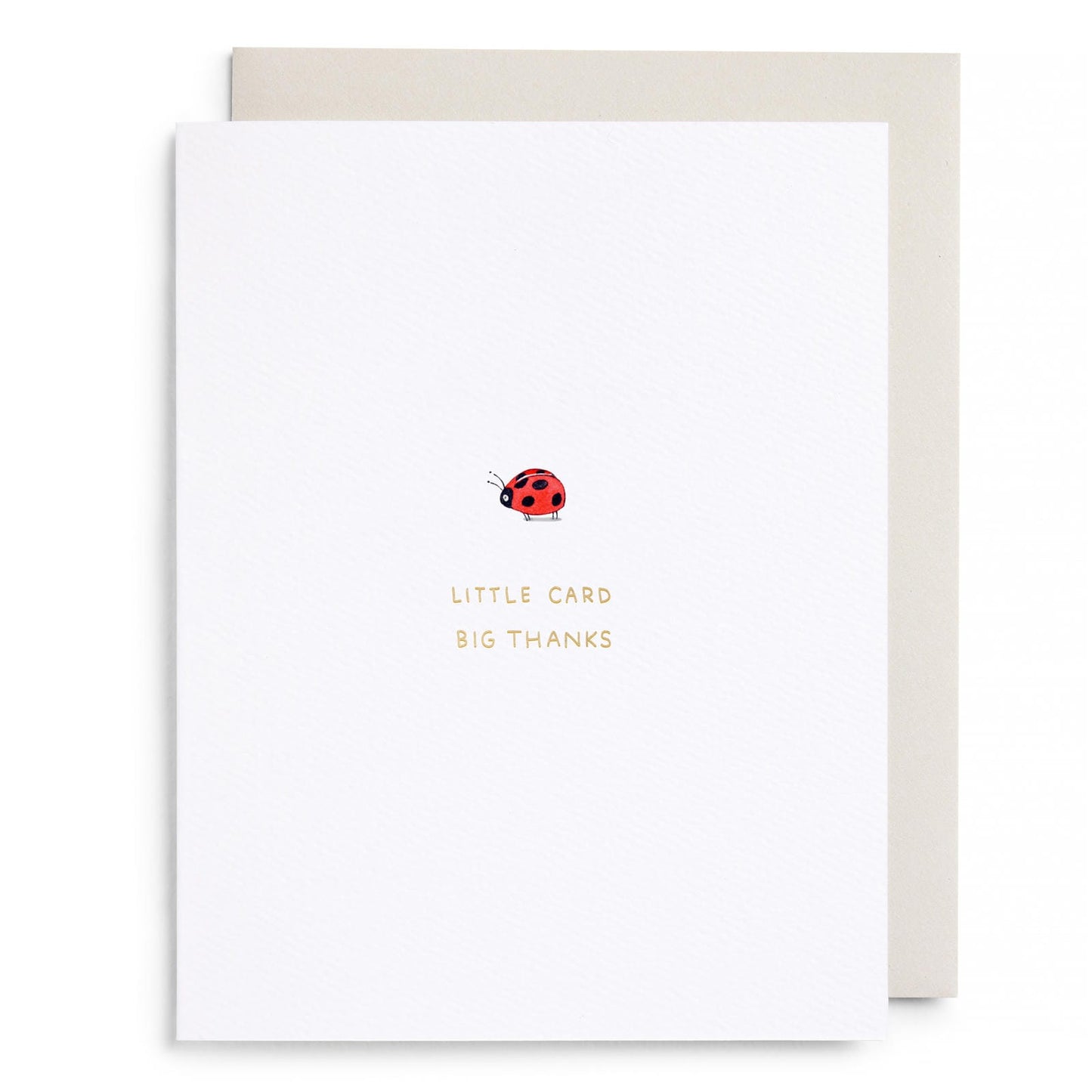 Little Card Big Thanks Card