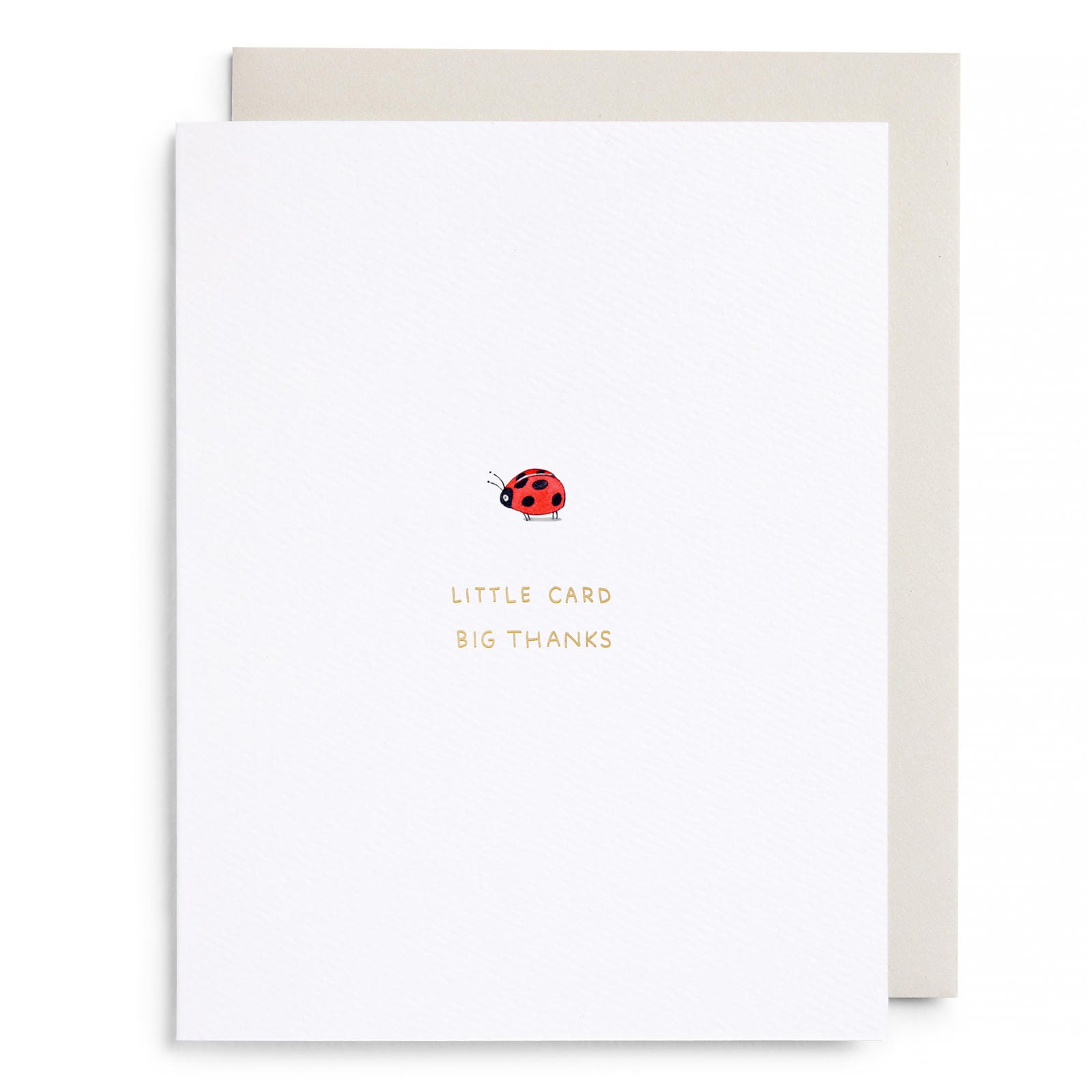 Little Card Big Thanks Card