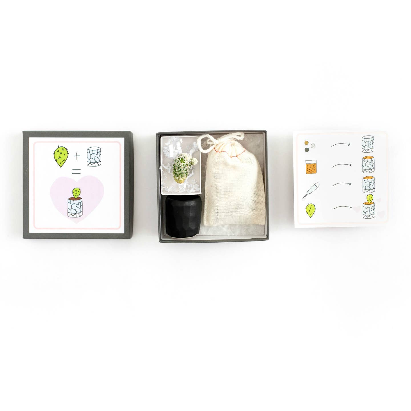 Mini Cactus Kit with Handmade Ceramic Vase