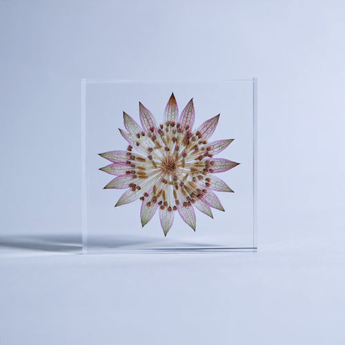 Load image 1 in gallery view