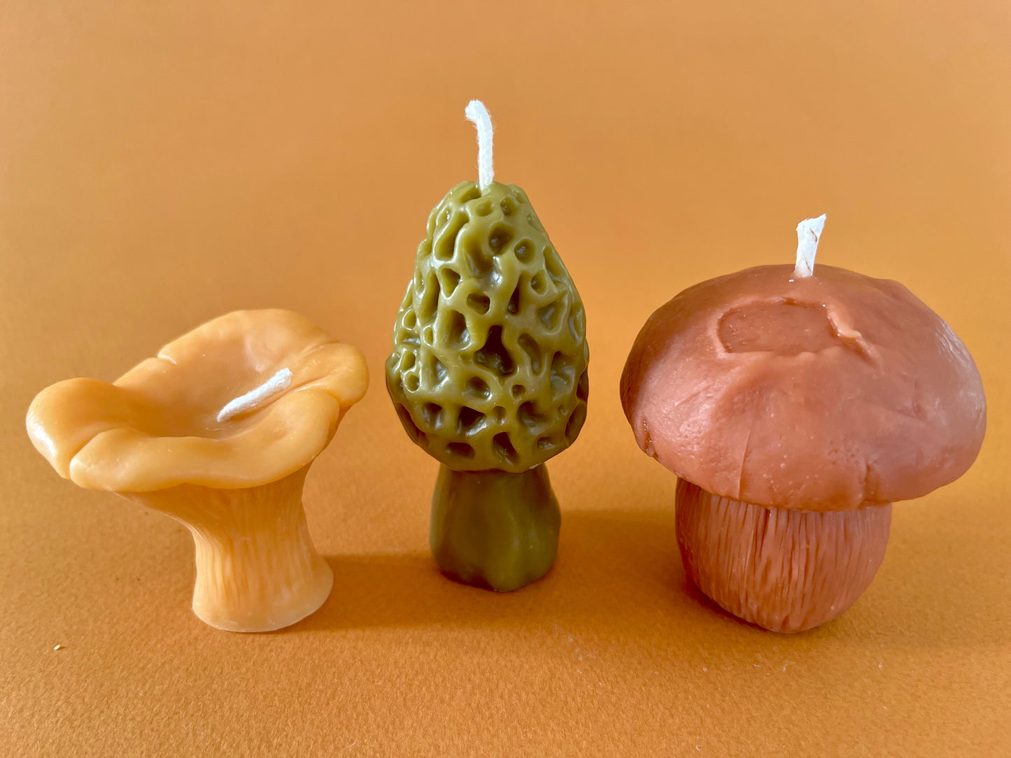 Mushroom Lover Candle Gift Box | Morel, Chanterelle & Pennybun