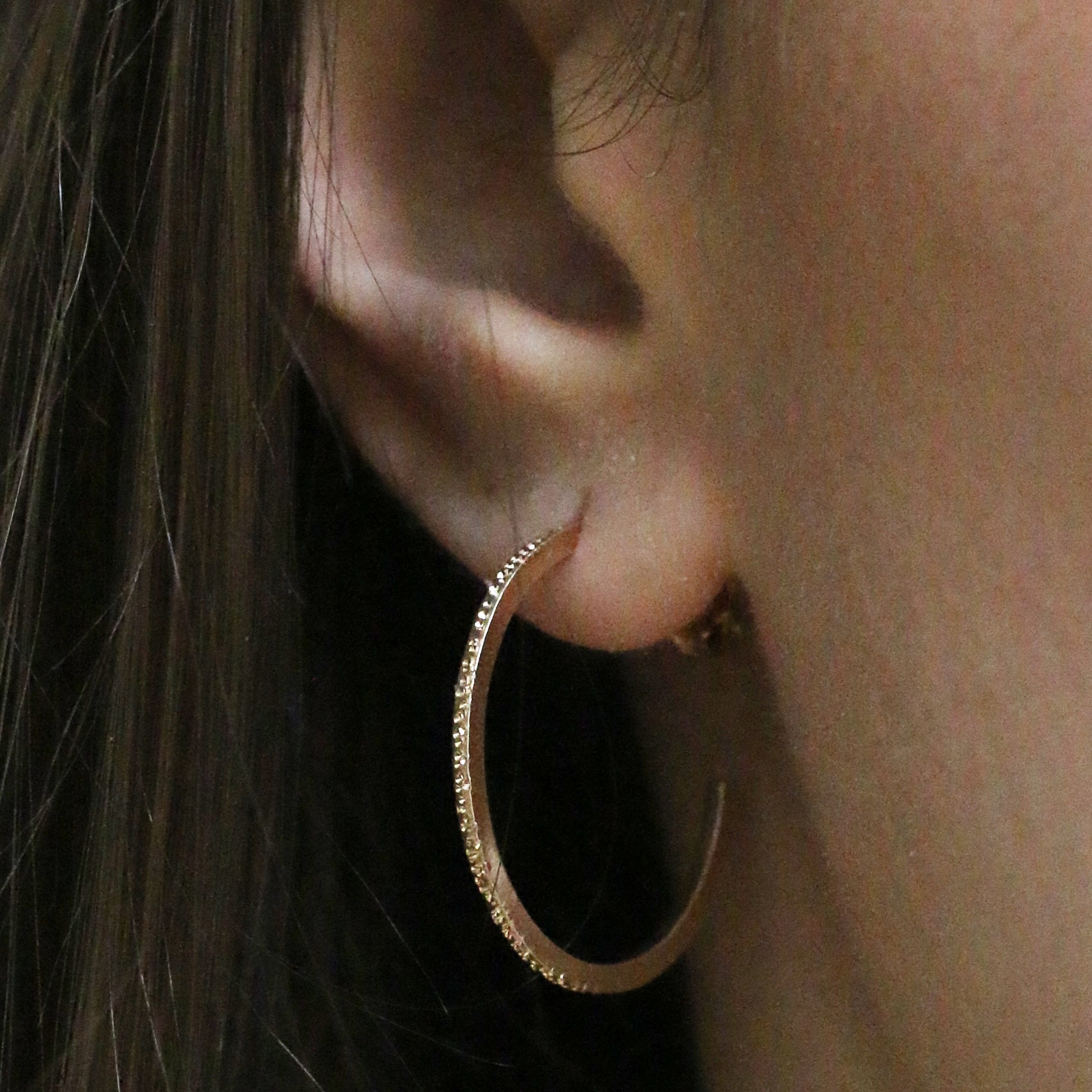 Mini Round Hoops - Diamond Dusted- Gold Vermeil Christina Kober