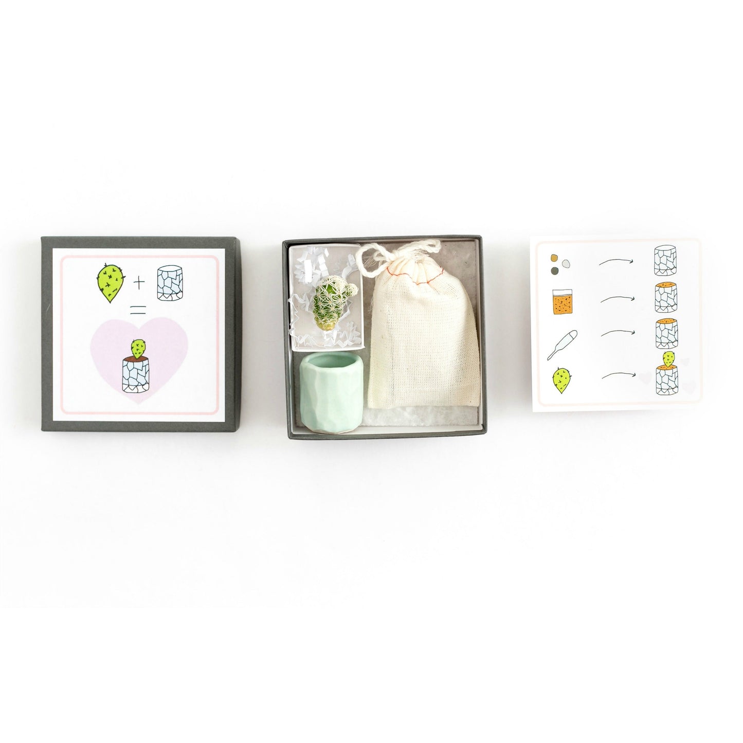 Mini Cactus Kit with Handmade Ceramic Vase