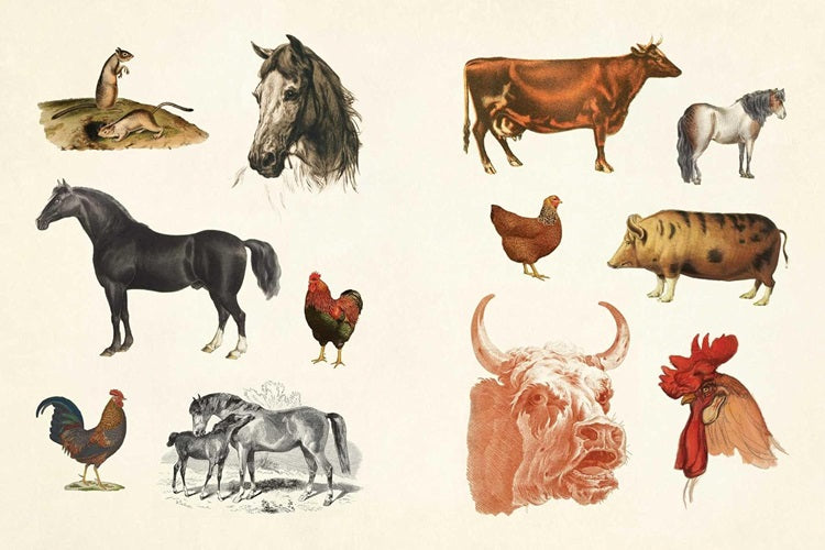 Cabinet of Curiosities II- Over 1,000 Stickers