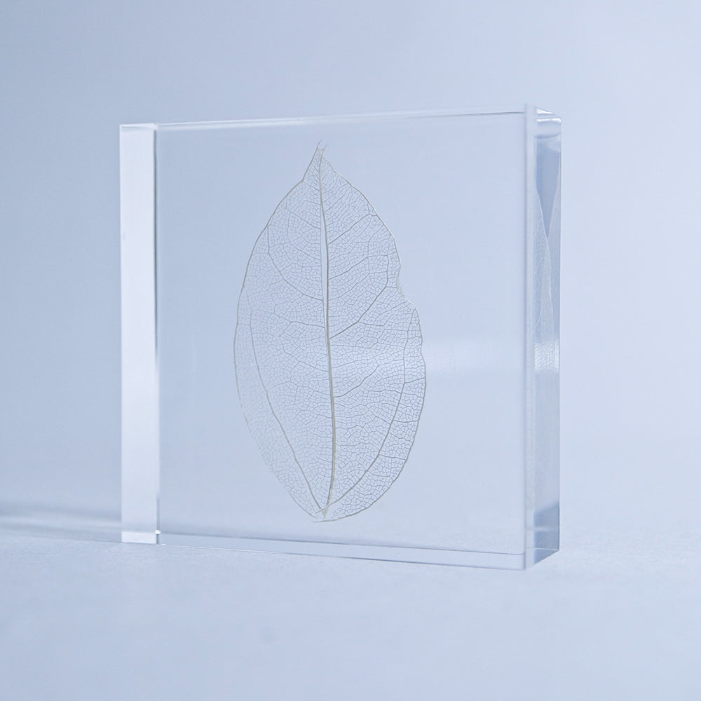 Skeleton Leaf Sola Tile