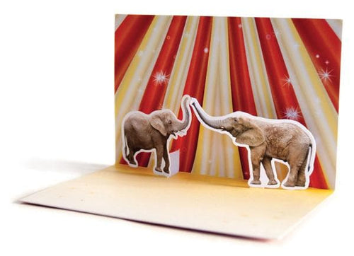 Load image 1 in gallery view