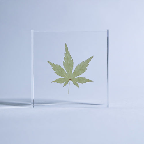 Load image 1 in gallery view