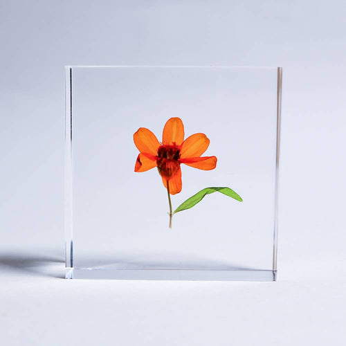 Load image 1 in gallery view