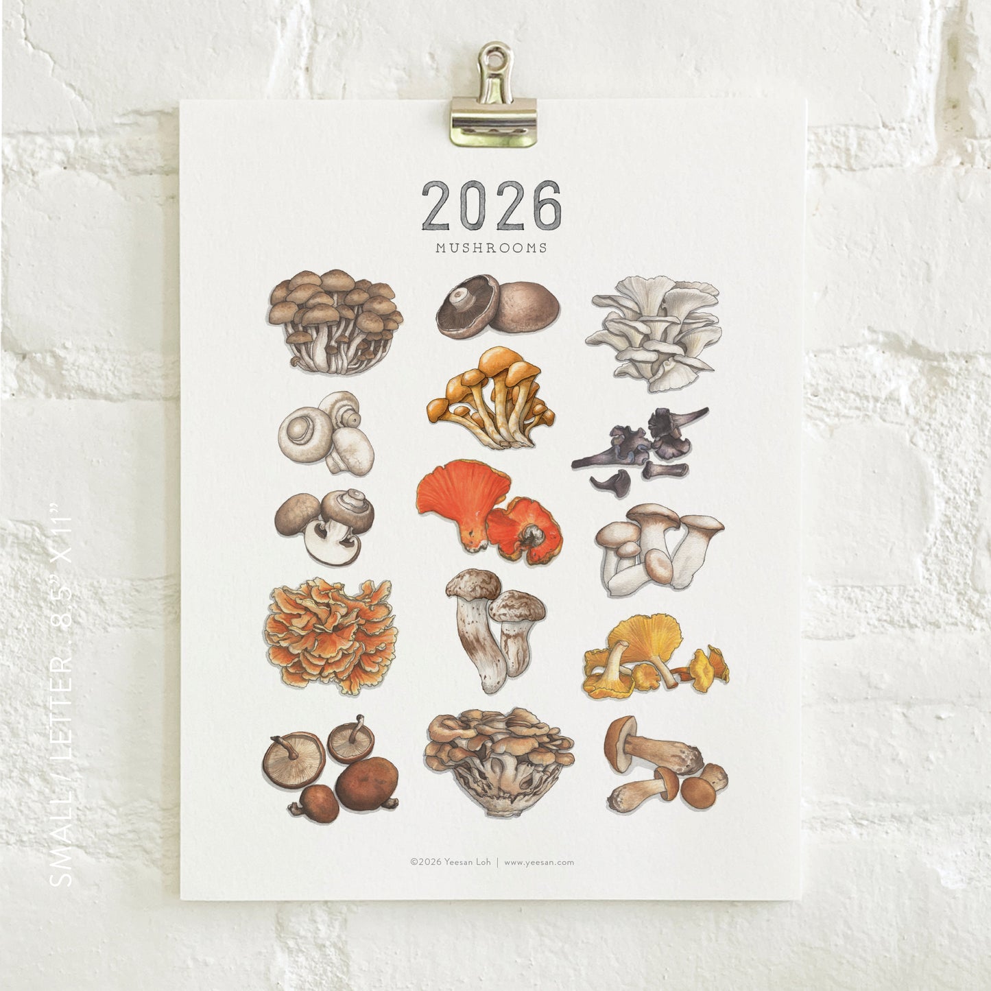 2026 Calendar- Small - Mushrooms