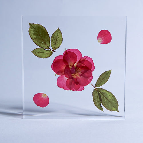 Load image 1 in gallery view