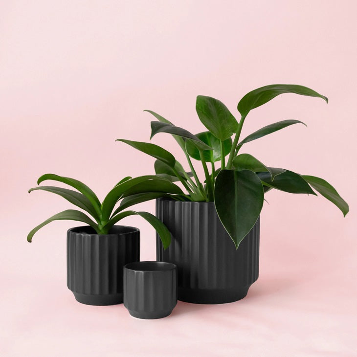 Monroe Planter 4.5" - Black