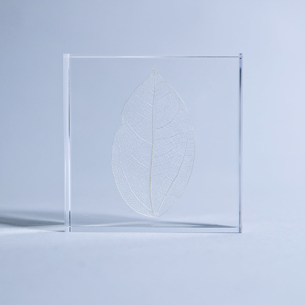 Skeleton Leaf Sola Tile