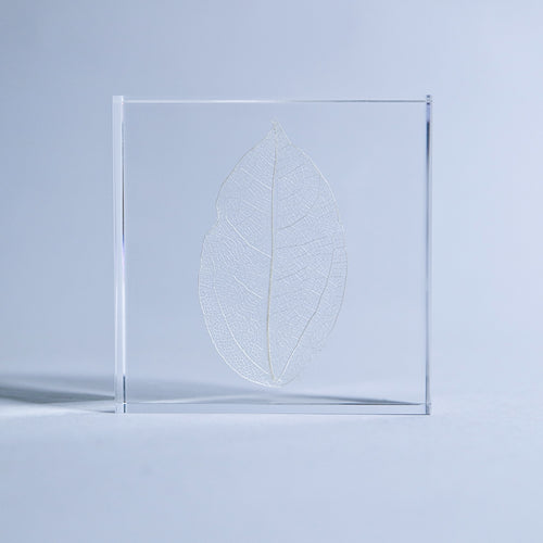 Load image 1 in gallery view