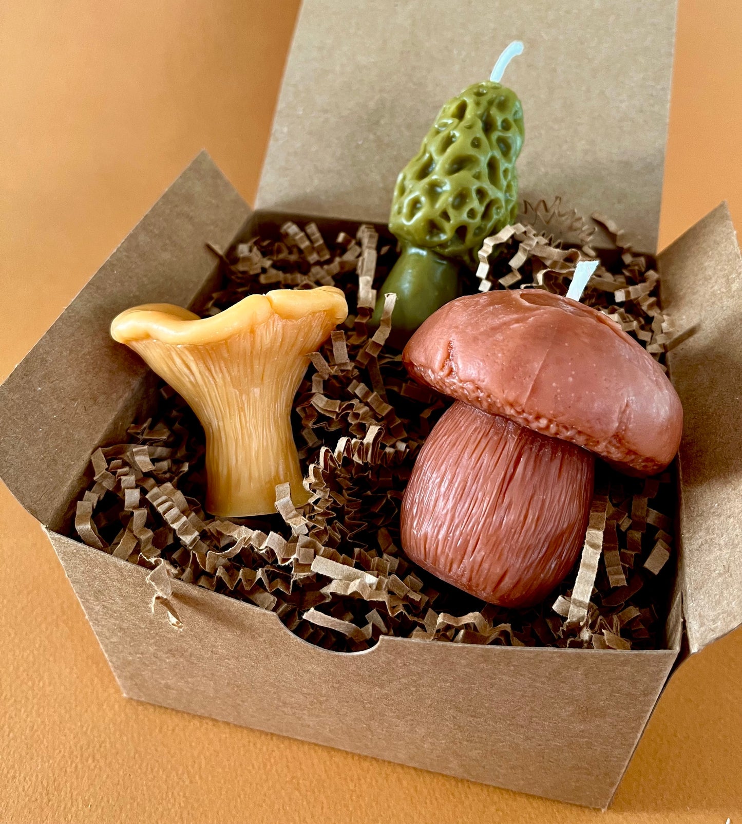 Mushroom Lover Candle Gift Box | Morel, Chanterelle & Pennybun