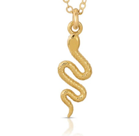 The Daring Snake Charm
