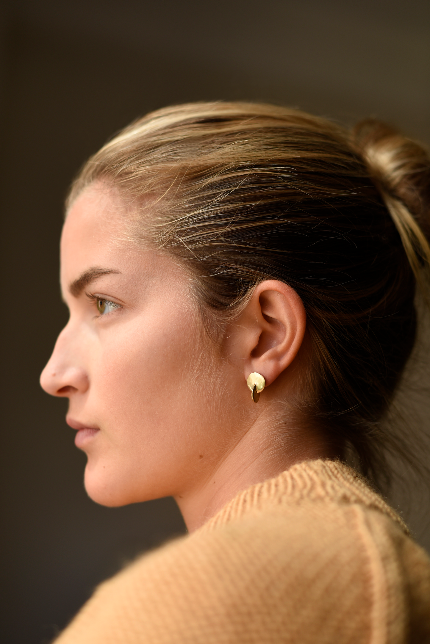 Interlocking Disc Stud Brass Earring