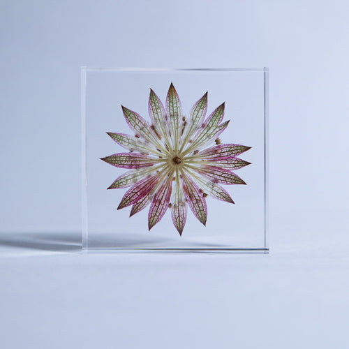 Load image 1 in gallery view