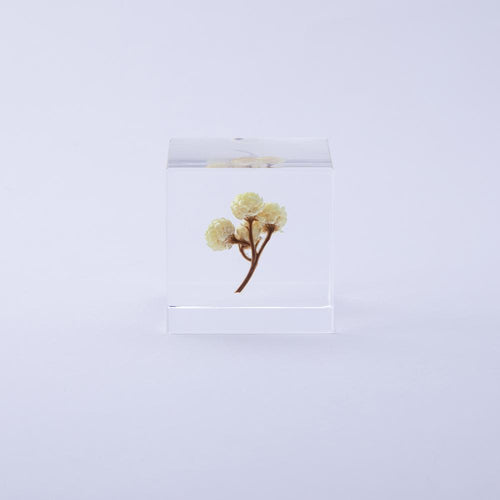 Load image 1 in gallery view