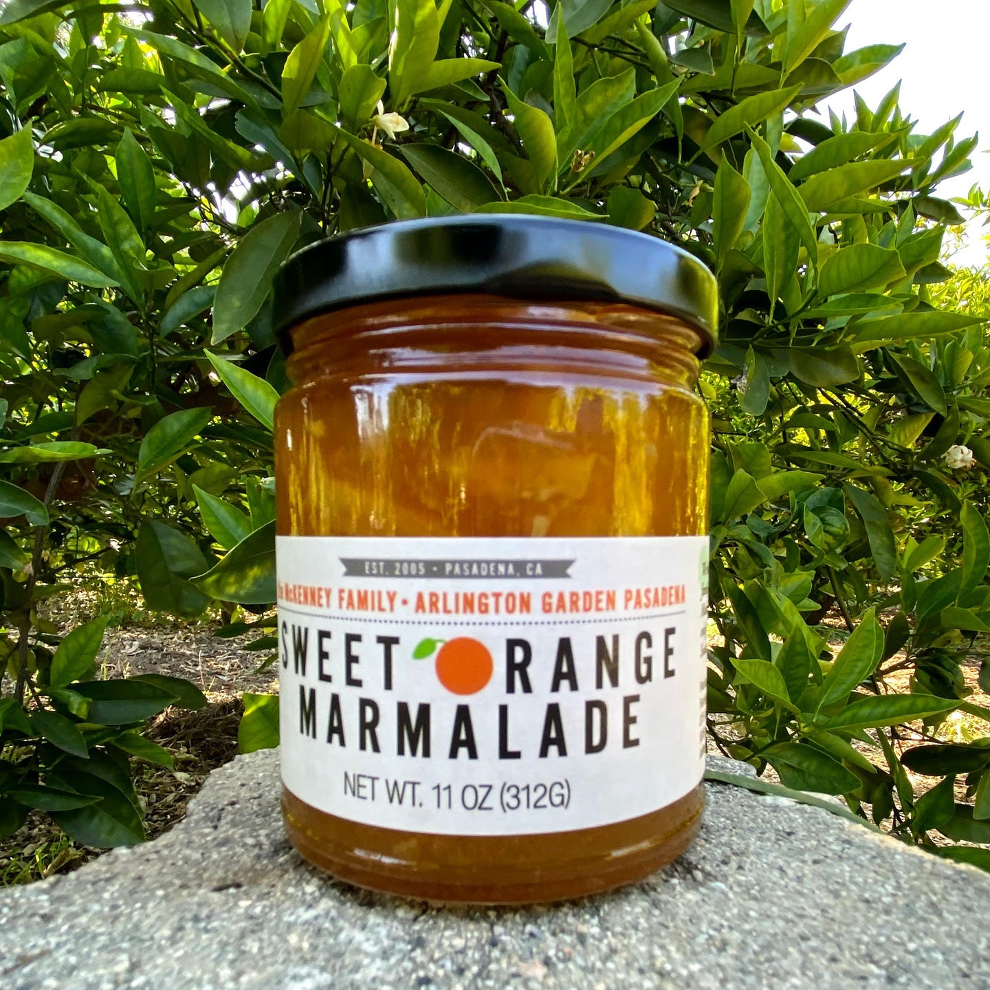 Orange Marmalade Arlington Garden