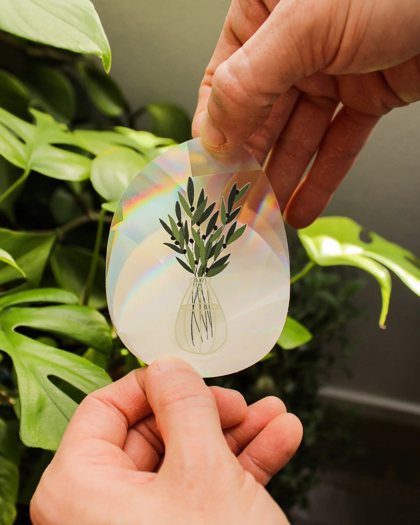 Olive Branch In Vase Suncatcher