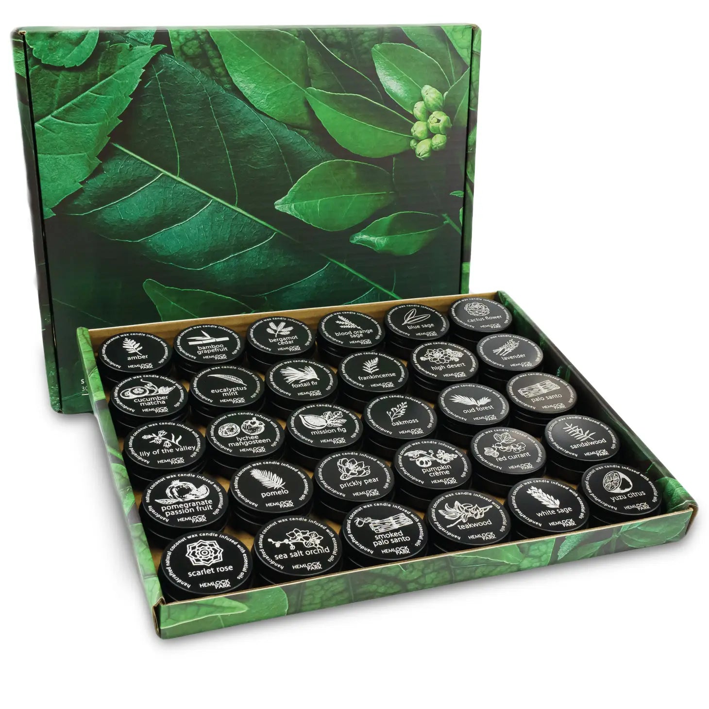 Scent Discovery Set of 30 Tea Lights